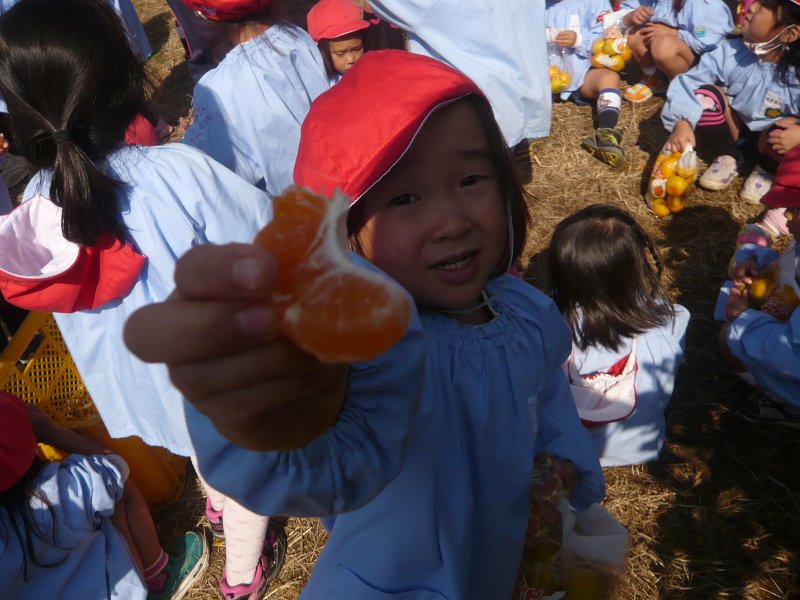 P1840151