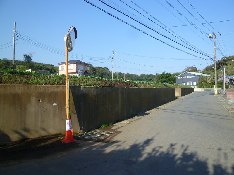 P1560838