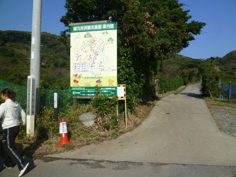P1560847