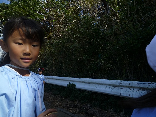 P1560985