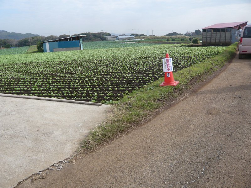 P1840345