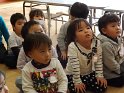 DSCF7317