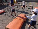 DSCF8531