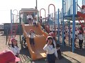 DSCF8784