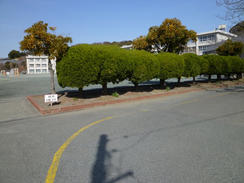 P1110274