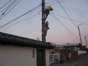 P1850929