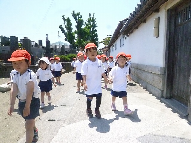 P1690317
