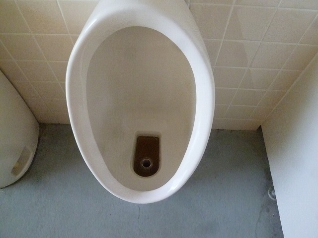P1730417