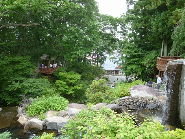 P1120246