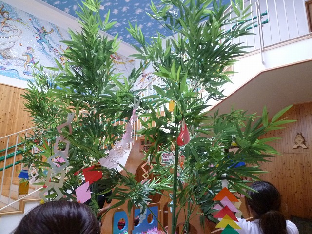 P1730478