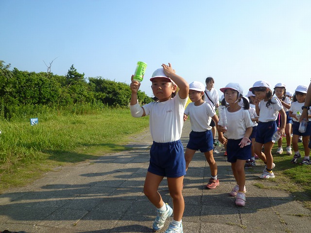 P1740612