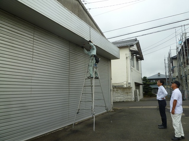 P1750463