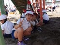 DSCF2943