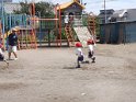 DSCF3302
