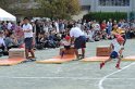 DSC_1551