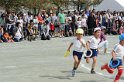 DSC_2019