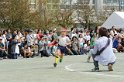 DSC_2081