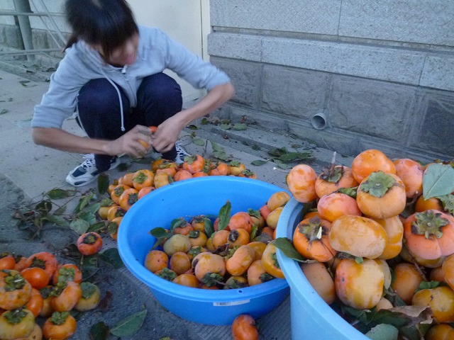 P1770879
