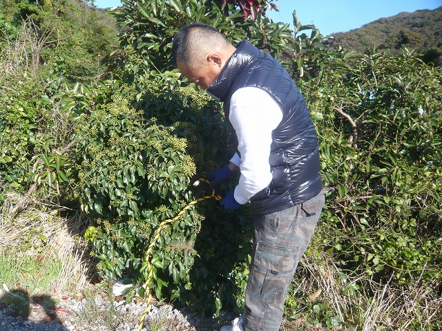 P1920754