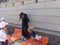 DSCF4464