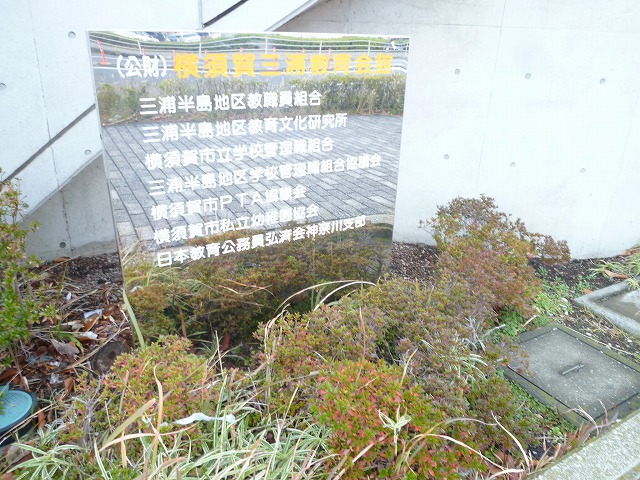 P1130227