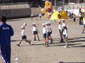 DSCF4631