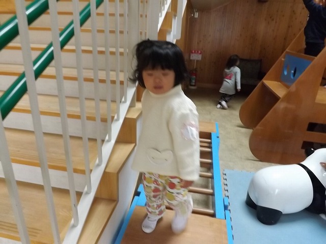DSCF6562