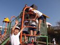 DSCF7131