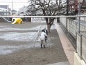 DSCF8540