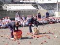 P1070663