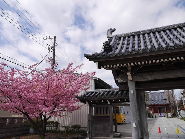 P1080039