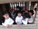DSCF0447