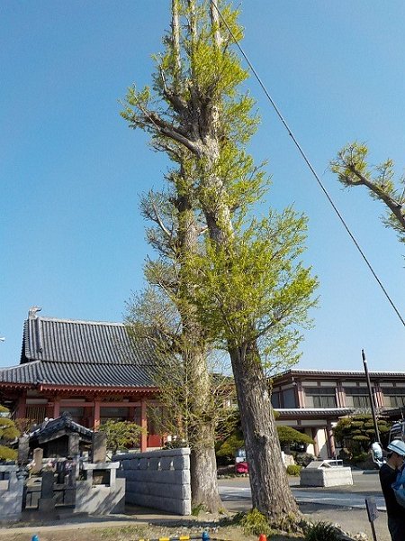 DSCN1965