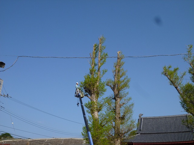 P1130433