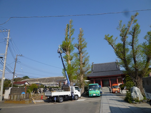 P1130435