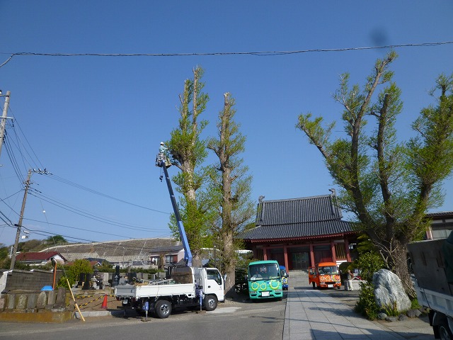 P1130436