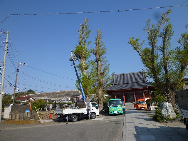 P1130437