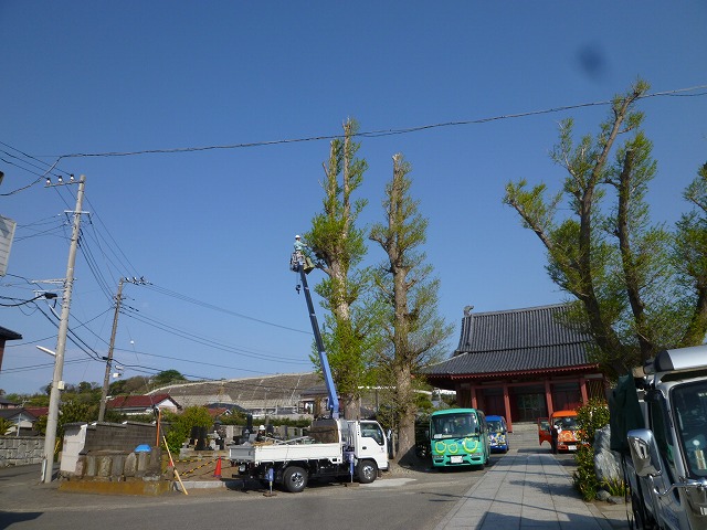 P1130440