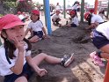 DSCF1378