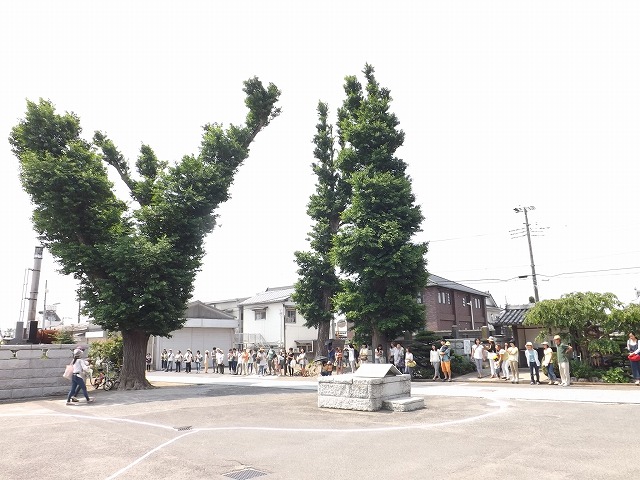 DSCF3323