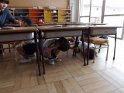 DSCF4239
