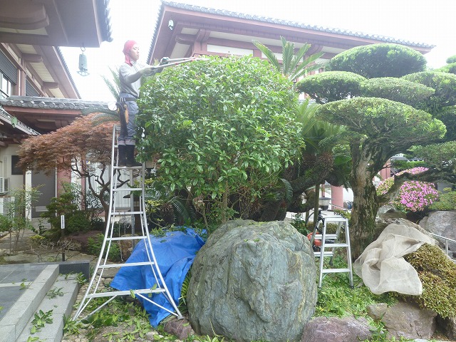 P1840323