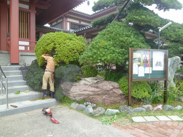 P1840327