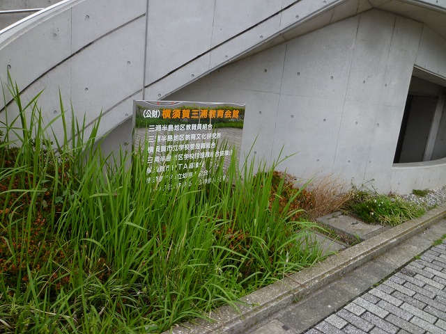 P1130539