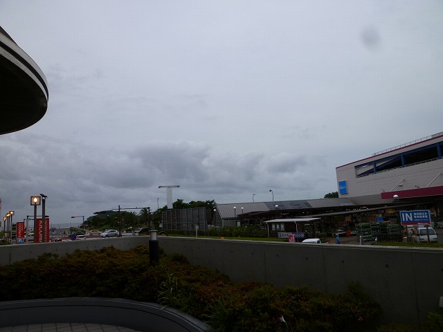 P1130542
