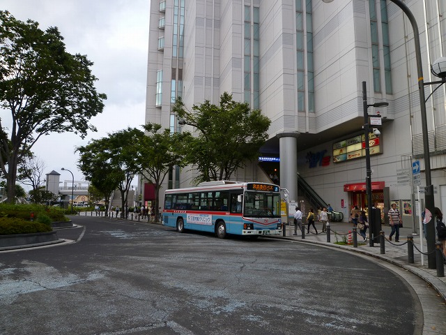 P1130571