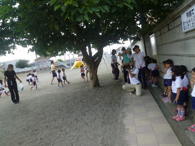 P1840368