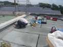P1990065