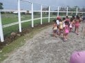 P1990196