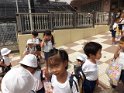 s-DSCF6247